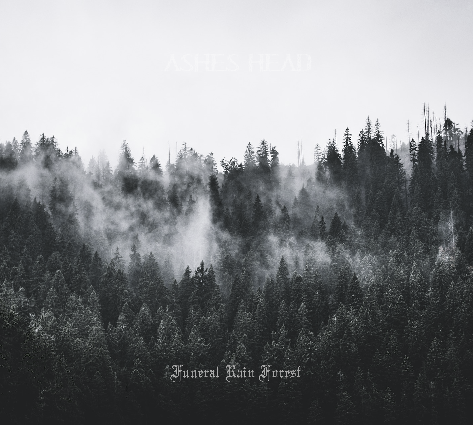 Funeral Rain Forest